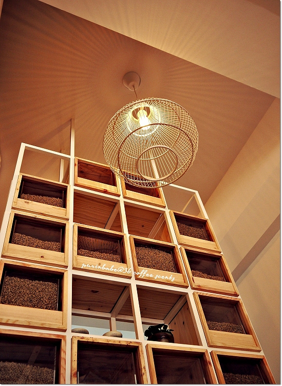 12生豆牆2 12生豆牆2