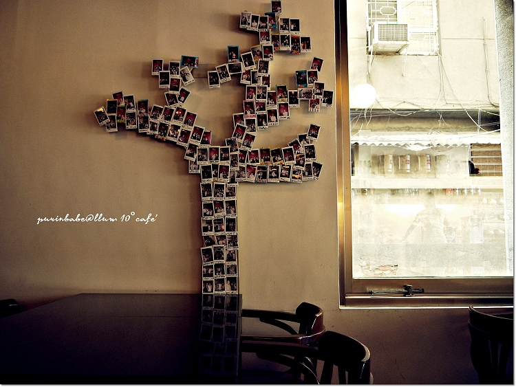 12照片樹1 12照片樹1