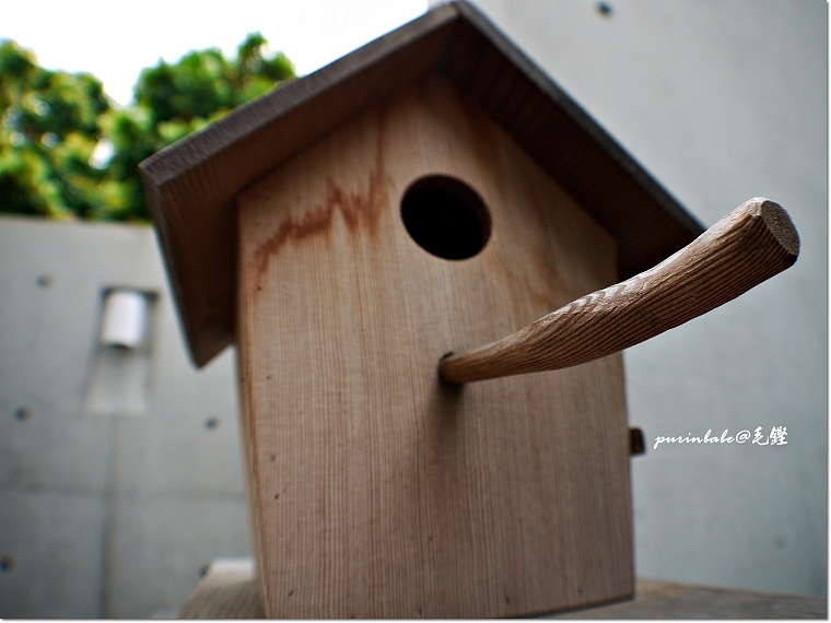 5長鼻子鳥窩 5長鼻子鳥窩