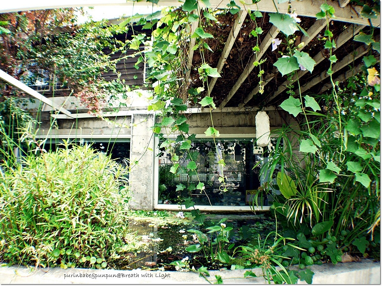 21小池塘 21小池塘