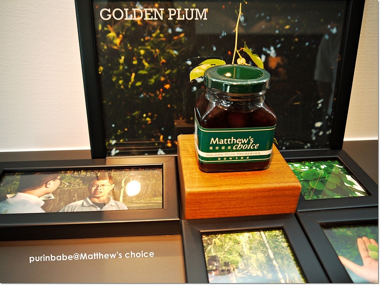 15梅子達人許鴻文先生