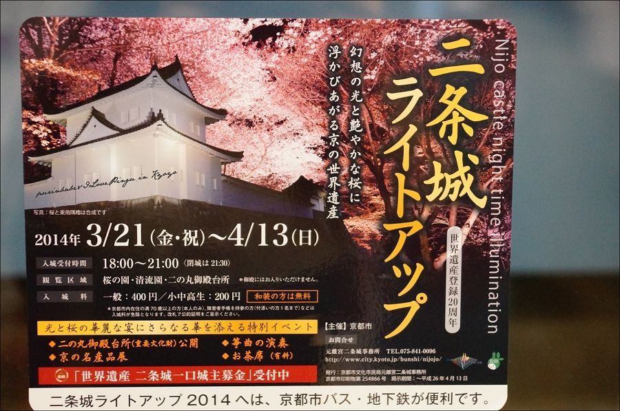 2二條城夜櫻 2二條城夜櫻