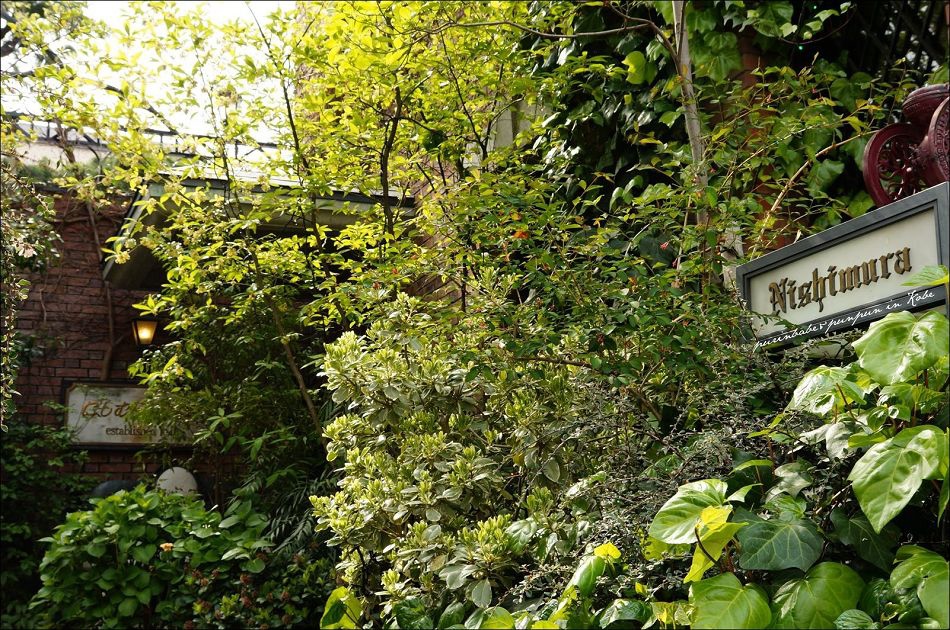 6nishimura咖啡2 6nishimura咖啡2