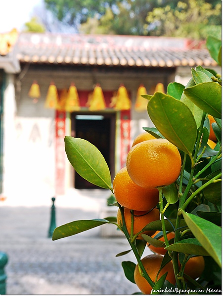 2廟宇.jpg 2廟宇.jpg