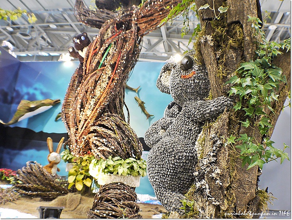 10無尾熊.jpg 10無尾熊.jpg