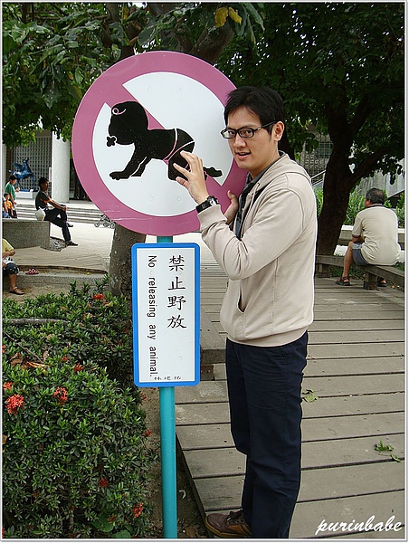 2野放2.jpg 2野放2.jpg