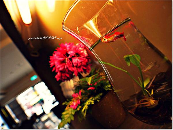 8玻璃瓶2.JPG 8玻璃瓶2.JPG