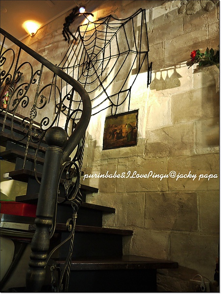 5蜘蛛網.jpg 5蜘蛛網.jpg