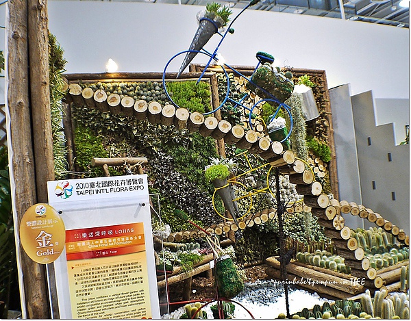 11金牌.jpg 11金牌.jpg