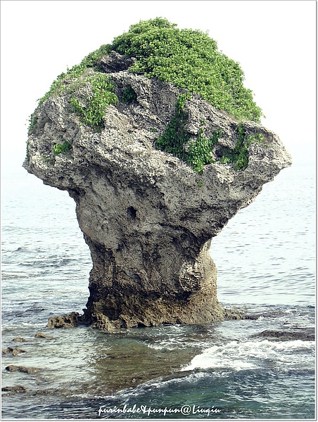 1花瓶岩.jpg 1花瓶岩.jpg