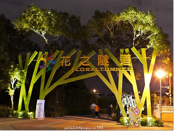 1花之隧道1.jpg 1花之隧道1.jpg