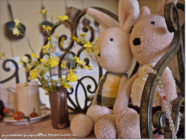 13櫃上法國兔.jpg 13櫃上法國兔.jpg