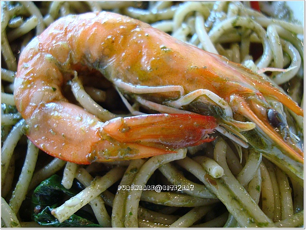 15一隻蝦.jpg 15一隻蝦.jpg