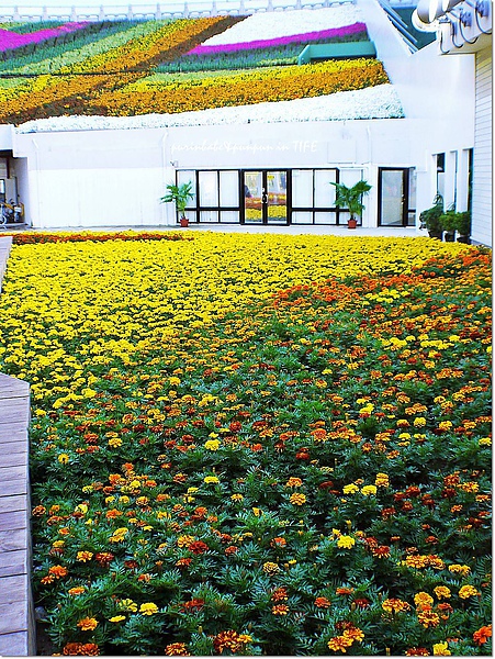 2七道彩虹2.jpg 2七道彩虹2.jpg