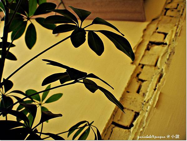 17外露磚牆.JPG 17外露磚牆.JPG