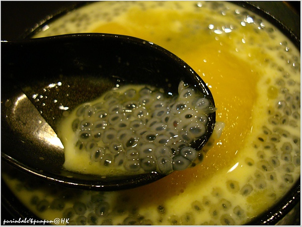 16黑珍珠.JPG 16黑珍珠.JPG