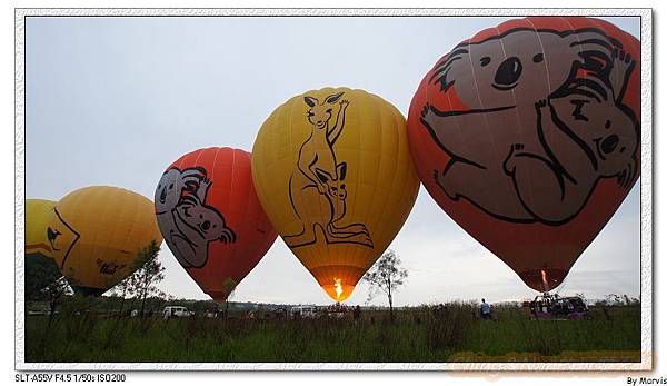 挖~全部都升起來了