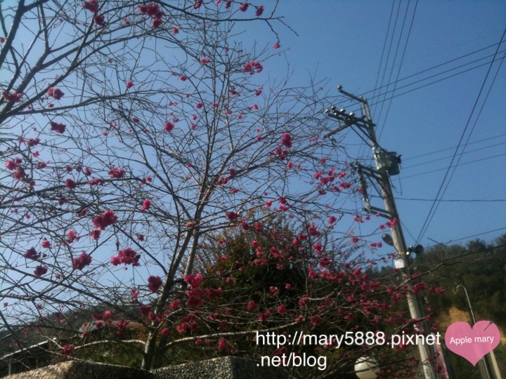 _抒_ (21) _抒_ (21)