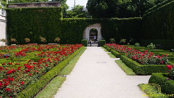 DSC05284.JPG DSC05284.JPG