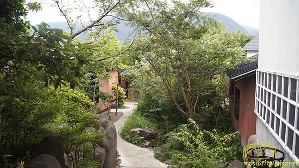 DSC07080.JPG DSC07080.JPG