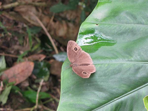 得恩谷3 得恩谷3