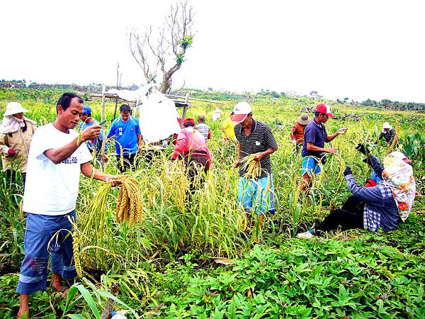 2587729304_5f7584d884_b