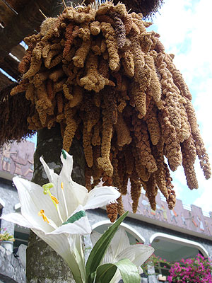 pic_F03_03 pic_F03_03