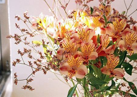 26422_114475561897647_100000056115226_265473_6032536_n 26422_114475561897647_100000056115226_265473_6032536_n