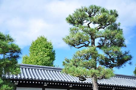 DSC_0193.JPG DSC_0193.JPG