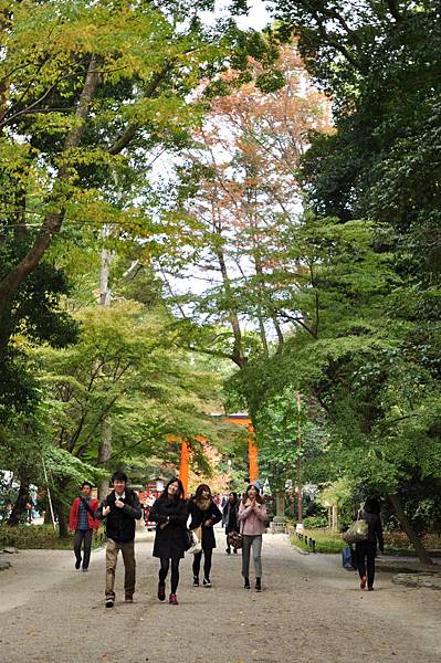 DSC_0790.JPG DSC_0790.JPG