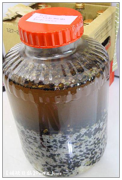 自製黑豆酒 自製黑豆酒