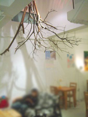 DSC00446.jpg DSC00446.jpg