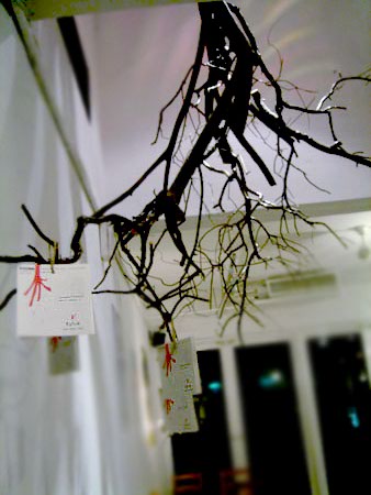 DSC00493.jpg DSC00493.jpg