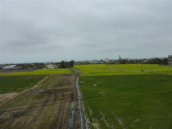 P1110733.JPG P1110733.JPG