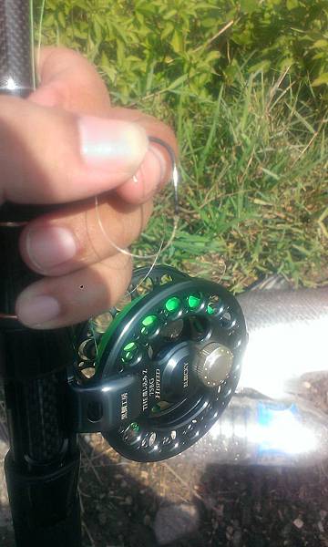 IMAG1520
