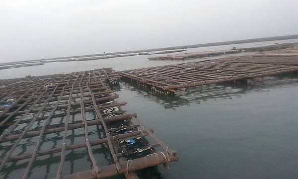 滿潮