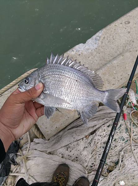 IMAG0714