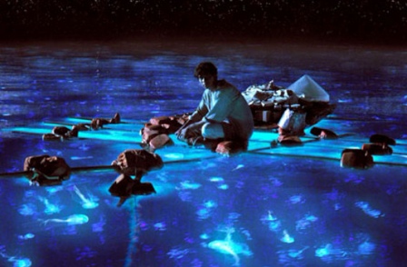 Life of Pi Life of Pi