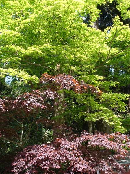 DSC05992.JPG DSC05992.JPG