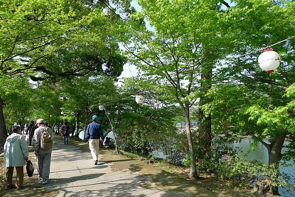 P1090367.JPG P1090367.JPG
