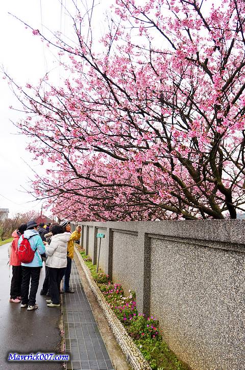 DSC07186.jpg