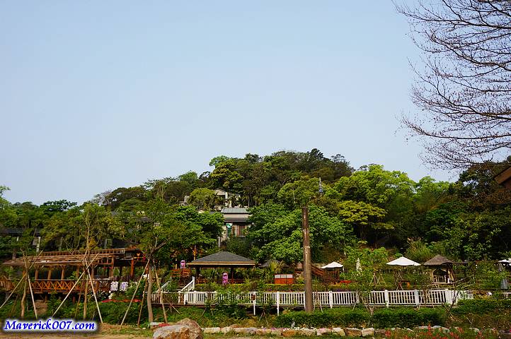 DSC00039.jpg