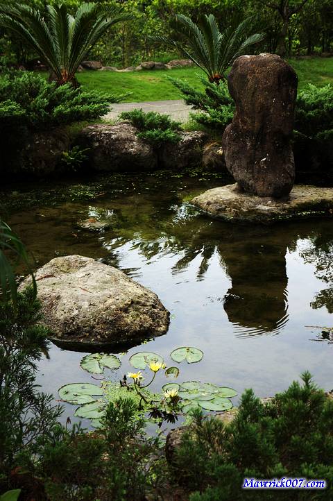 DSC01634.jpg DSC01634.jpg
