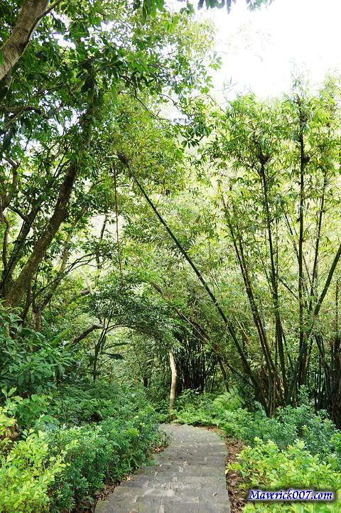DSC01736.jpg DSC01736.jpg