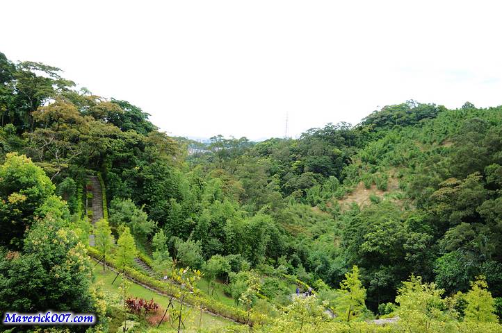 DSC01742.jpg DSC01742.jpg