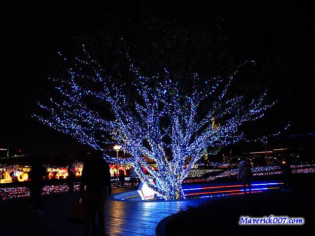 IMG_4174.jpg