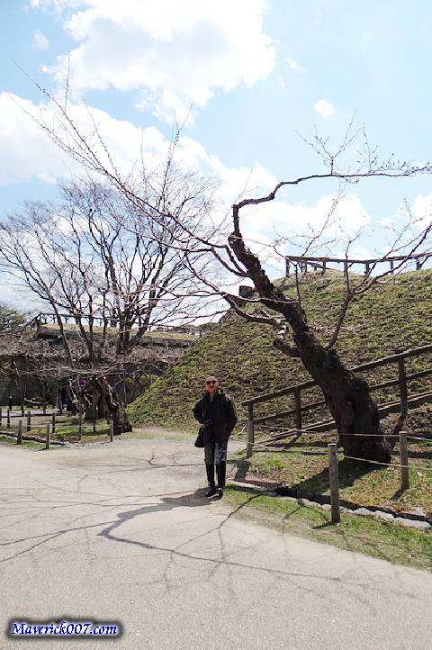 DSC00563.jpg