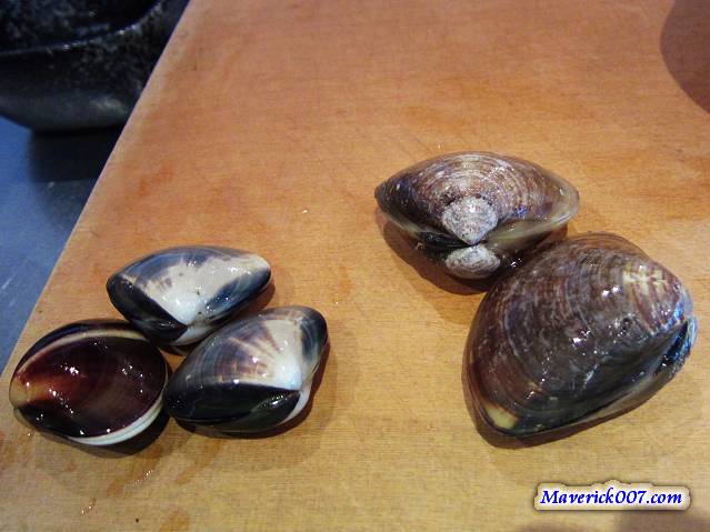 IMG_5510a.jpg IMG_5510a.jpg