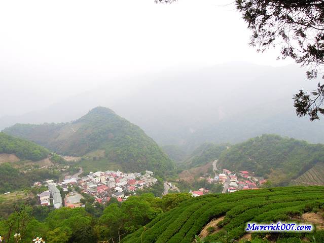 DSCN1557.jpg