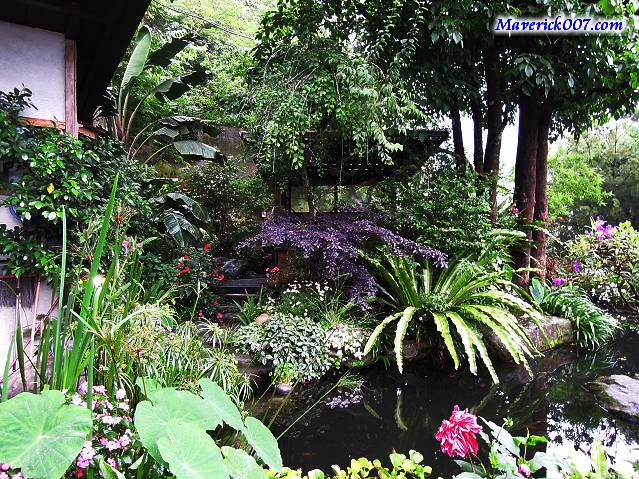 DSCN2566.jpg